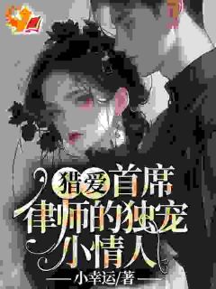 抖音追爱蜜恋：大律师的惹火宝贝by小幸运在线阅读-暗夜阅读网