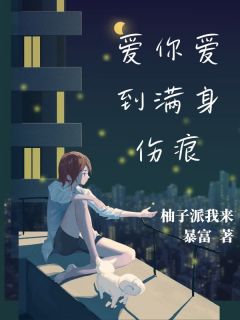 热文爱你爱到满身伤痕小说-主角宋如萱陈嘉豪全文在线阅读