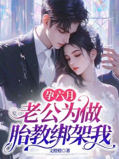 孕六月，老公为做胎教绑架我小说最后结局，陆朝阳苏宁百度贴吧小说全文免费-暗夜阅读网