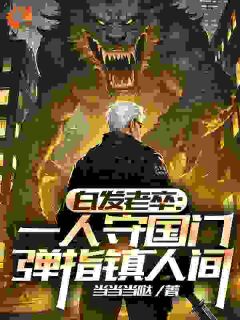 白发老卒：一人守国门弹指镇人间李苍澜李小天全章节完结版在线阅读