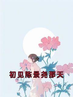 【初见陈景尧那天】主角(向晚陈景尧)在线阅读-暗夜阅读网