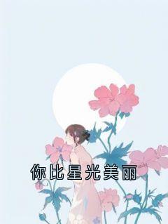 你比星光美丽by陆以城小说完结版在线阅读-暗夜阅读网