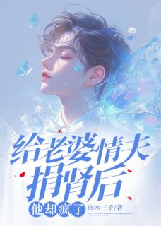 给老婆情夫捐肾后，他却疯了（苏寒烟叶凡周明昊）精彩小说目录阅读
