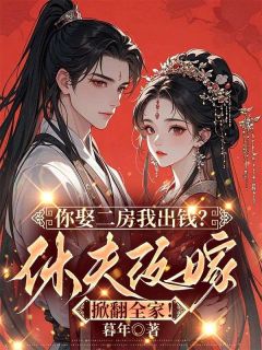 全网首发完整小说你娶二房我出钱?休夫改嫁掀翻全家!主角林九宜沈冽在线阅读-暗夜阅读网