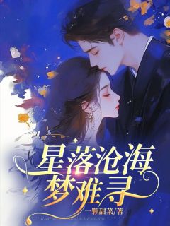 星落沧海梦难寻小说(完结版)-尹向晴萧宜年在线阅读