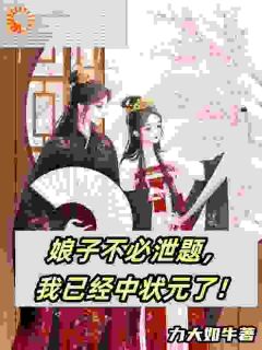 娘子不必泄题，我已经中状元了！by力大如牛-暗夜阅读网