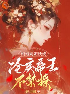 娘娘妩媚妖娆，冷戾帝王不禁撩免费小说作者许小圆全文阅读-暗夜阅读网