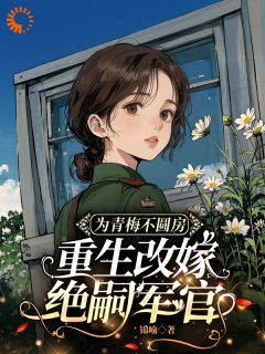 好文热推小说为青梅不圆房，重生改嫁绝嗣军官主角林茵宋长远全文在线阅读-暗夜阅读网