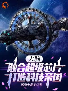 科技：以身助国，打造高级芯片【全章节】杨宇科杨龙完结版免费阅读-暗夜阅读网