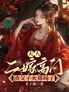 夫人二嫁高门，渣父子火葬场了大结局阅读 慕晚舟沈彦君小说在线章节