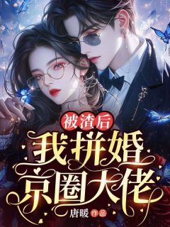 被渣后，我拼婚京圈大佬小说最新章节-主角顾青落陆寒城全文免费阅读-暗夜阅读网