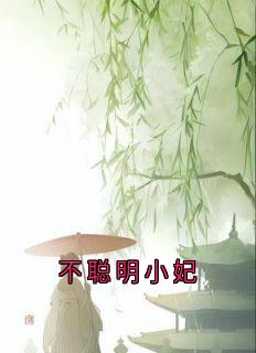 佚名写的小说不聪明小妃容妃喜公公全文阅读