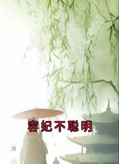 佚名最新小说容妃不聪明容妃喜公公在线试读
