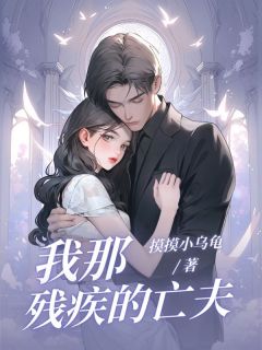 抖音我那残疾的亡夫txt小说阅读-暗夜阅读网