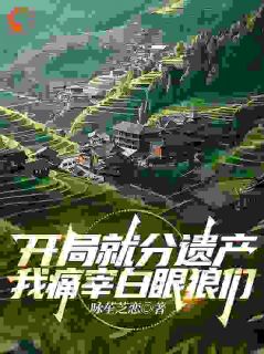 【新书】开局就分遗产，我痛宰白眼狼们主角慕尘朵朵全文全章节小说阅读