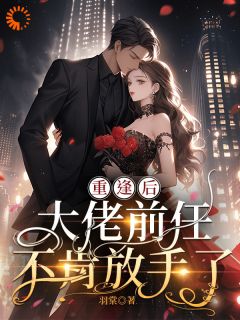 重逢后，大佬前任不肯放手了完整版免费阅读，沈清柠司京煜小说大结局在哪看