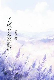老书虫看了N遍的手撕老公家族群最新章节