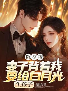 除夕夜，妻子背着我要给白月光生孩子小说(完本)-沈天林雨柔无错版阅读