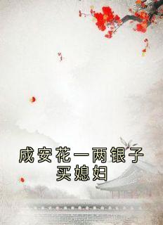 抖音成安花一两银子买媳妇by佚名在线阅读-暗夜阅读网