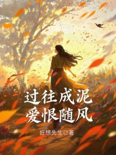 苏婉林城完整未删减版在线阅读 苏婉林城结局-暗夜阅读网