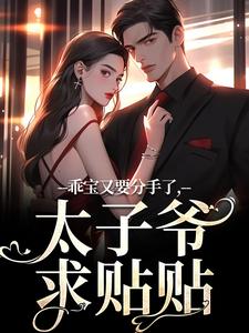 程路送写的小说乖宝又要分手了，太子爷求贴贴在线阅读