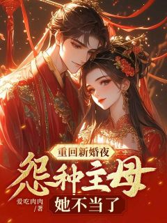 重回新婚夜，怨种主母她不当了[抖音]小说-崔攸宁燕嘉树无删减阅读