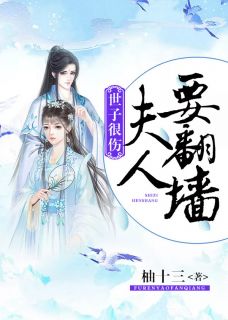 正版小说世子很伤：夫人要翻墙苏琬颖陆挽奕在线免费阅读-暗夜阅读网