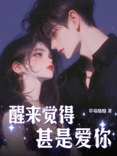 主人公叶清梨周岩许时瑾小说醒来觉得，甚是爱你在线全文阅读-暗夜阅读网