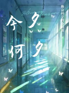 今夕何夕在线全文阅读-主人公连舟楚皎皎小说-暗夜阅读网
