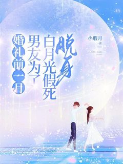 婚礼前一月，男友为了白月光假死脱身（全本）凌景闫陈砾江茶完整章节列表免费阅读