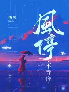 书荒必备风停不等你全文章节阅读
