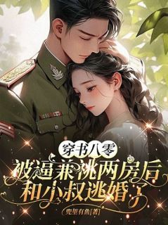 书荒必备穿书八零：被逼兼祧两房后和小叔逃婚了全文章节阅读-暗夜阅读网