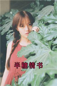 （好书推荐）半糖情书小说最新章节小说全文阅读-暗夜阅读网