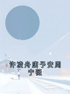 许凌舟唐予安周宁薇唐予安许凌舟全章节完结版在线阅读