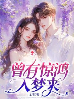 抖音爆款小说曾有惊鸿入梦来蒋少川顾念语免费txt全文阅读