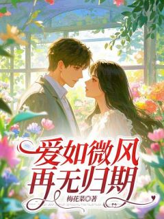 主角是舒艺贺骏辰的小说叫什么爱如微风，再无归期免费全文阅读
