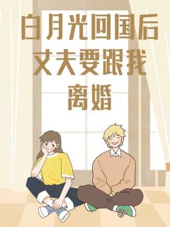白月光回国后，丈夫要跟我离婚张小婉沈恒大结局小说全章节阅读