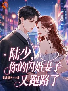 火爆陆少，你的闪婚妻子又跑路了小说，主角是慕南嫣陆逸然在线阅读全文无删减