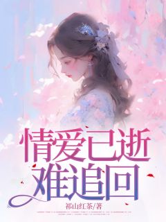 许浅沈宴清全文阅读最新 许浅沈宴清小说目录