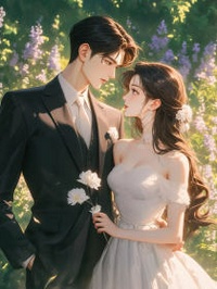 飞蛾扑火,迷途不返念舒沈知期夏瑶免费全章节目录阅读