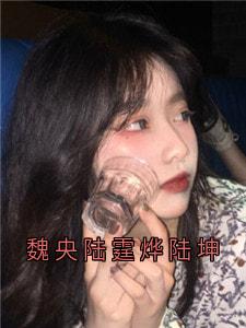 魏央陆霆烨陆坤魏央陆霆烨小说完整在线阅读