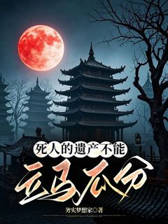 死人的遗产不能立马瓜分(全本)小雨大姑完整章节列表免费阅读-暗夜阅读网