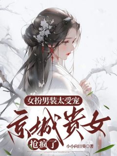 百度贴吧小说女扮男装太受宠，京城贵女抢疯了，主角苏月肖寒全文免费