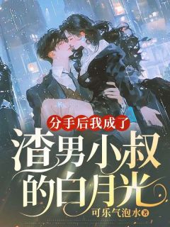 秦念笙顾衍之小说抖音热文分手后，我成了渣男小叔的白月光完结版