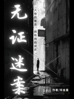 无证迷案精彩小说-无证迷案目录阅读