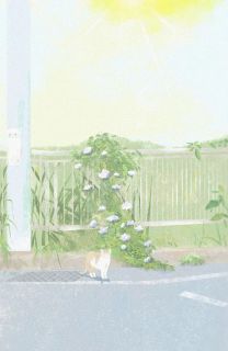 乔语程野小说抖音热文烟雨人间，似梦亦是真完结版-暗夜阅读网