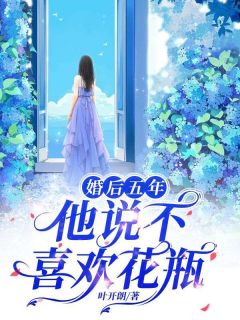 作者叶开朗写的婚后五年，他说不喜欢花瓶小说大结局全章节阅读-暗夜阅读网