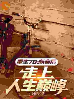 重生78:断亲后,走上人生巅峰小说全集(陆远陆苗)无弹窗广告阅读-暗夜阅读网