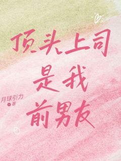 免费完结小说顶头上司是我前男友陆承砚林琛苏景梨无弹窗免费阅读