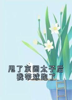 甩了京圈太子后我带球跑了江缘沈如晦江桃桃全本小说（甩了京圈太子后我带球跑了）全章节小说目录阅读-暗夜阅读网